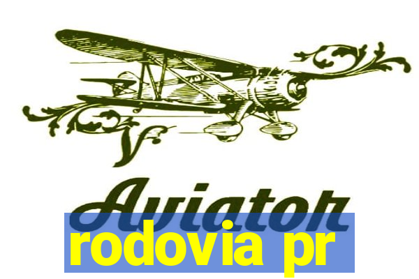 rodovia pr-317 km 155 onde fica